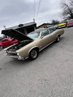 1966 Pontiac GTO 389 4 Speed $39,900 Maple Motors #2909  https://youtu.be/ikRZU66sWws #gto #pontiac #1966 #shift #4speed #cars 