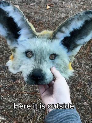 Replying to @★꓄ꍏꌩ꒒ꂦꋪ★ Pfp: rylan_wild Pt.2 of making a Bat eared fox for @★ℝ𝕐𝕃𝔸ℕ☆ !! #mask #masks #animalmask #therian #therianmask #therianthropy #quadrobics #realisticart #realistictherianmask #batearedfox #fox #foxtherian #foxtherianmask 