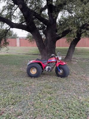 #fyp #honda #threewheeler #3wheeler #atc200 #ShesOldButStillShits 