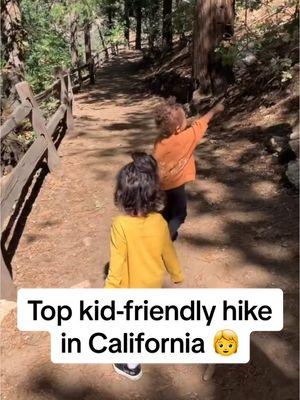 Pro tip: take the kids' table outdoors this year 😉 📹 @mindfullittlemama 📍Heaps Peak Arboretum, California #hikingwithkids #kidfriendlytrails #exploreoutdoors