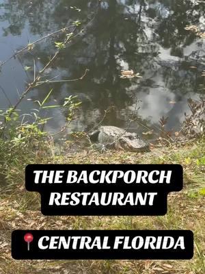 Definitely a must do if you are in central Florida! #lakealfred #fyp #thebackporchrestaurant #centralflorida #picnic #gator #floridagators #alligatorsoftiktok #alligator #lunch #centralfloridamustdo #lakealfredflorida #foryou #foryoupage 