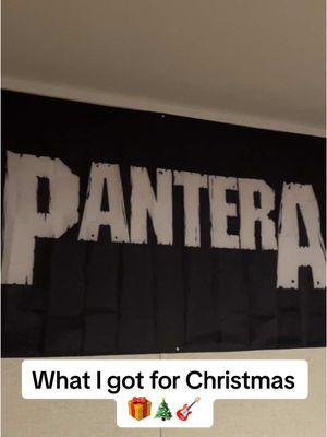 #heavymetal #metal #pantera #heavymetalmusic #rockmusictiktok #rockmusic #panteraband @Pantera 