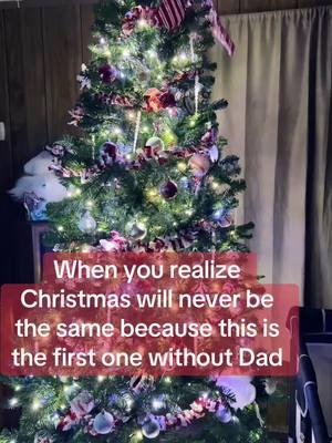 #christmas #dad #grief #griefjourney #engagement #teamwork #worktogether #Love #iykyk #family 