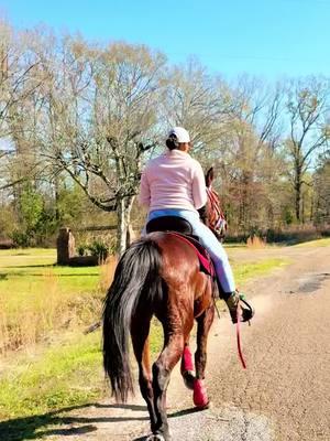 We standing in it on this beautiful Christmas Eve!!! ♥️🐎 #countrygirl #MississippiWoman #MississippiMade #horse #horsesoftiktok #horses #stb #singlefootinghorse #horseriding #countrylife #standupinit #NinaLin 