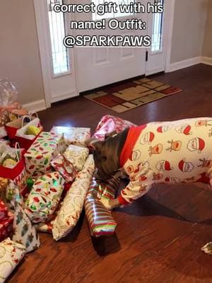 @SPARK PAWS #fyp #fypシ #foryoupage #cutepet #christmas #christmas2024 #viralvideo #Usa #tn #pets #dogs #dogsoftiktok #pitbullsoftiktok #amstaff #pitbull #PetsOfTikTok #staffy #guyana #ilovemydog #animals #pet #foryoupageofficiall 