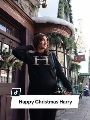 Happy Christmas Harry ✨🎄🫶🏽 Happy Holidays from @Angie & I ✨🎄🦉🕯️ #harrypotter #happychristmasharry #pottertok #harrypotterstyle #wizardingworld #atuniversal #harrypottercreator #tiktokpartner 