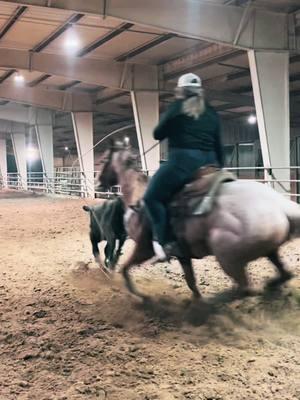 Vinnie 👀 #horsesoftiktok #mjperformancehorses #rodeo #ropinghorse #barrelhorse #cnslickdesigns #breakaway #roping ##venmo##rodeotok##fyppp