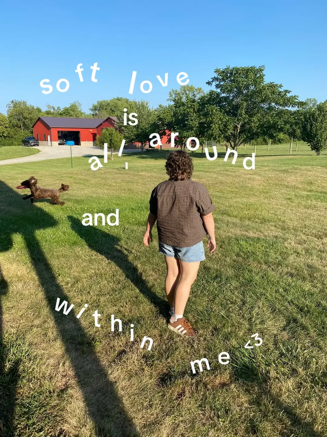 here are just some of the many soft & lovely moments from my 2024. you can stream this cutesy little cozy song i wrote now! 🥰 there is so much love all around us all the time and that’s a beautiful thing im so grateful for. (if you use it for any posts make sure to tag me!) #fyp #wlw #queer #nyc #frogandtoad #christmaseve #newartist #enby #queerartist #singersongwriter #acoustic #stream #folk #leithross #adriennelenker #girlinred #clairo #Love #softlove 