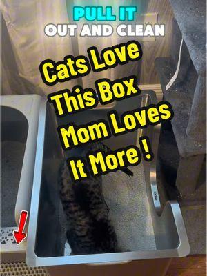 #litterbox #litter #catsrule #cats #kittens #feline #spayandneuter #resquecat #straycat #lookwhatthecatdraggedin #ilovecats #catlove #catlover #catloversoftiktok #catsoftiktok #holidayhaul #TikTokShop #tiktokshopfinds #tiktokshopendofyeardeals #tiktokshopblackfriday #tiktokshopcybermonday #tiktokmademebuyit #tiktokshopping 