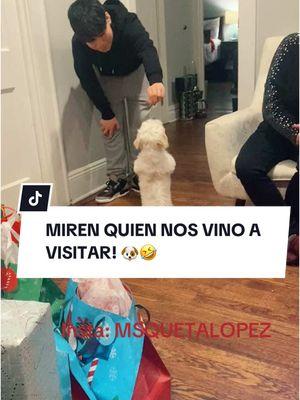 MIREN QUIEN NOS VINO A VISITAR!! #lasmyloves #laquetaygigi #laquetalopez #christmaseve2024 #fyp #viral2024 #trending2024 #merrychrismas2024 #mexicanfriends #mexicanculture #thankful 