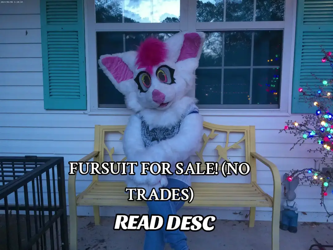 Hello everypony! my friend @trueapologygirl is selling their fursuit Peaches! Here's the details they gave on her toyhouse: LOWEST ILL SELL FOR IS $800 FLAT. Shipping price is $110 because her head is large, so part of the money will have to be able to pay for her shipping as cannot afford that. CASHAPP ONLY ** She is for sale. Her worth is $900 including full partial (Head, Paws, Bat Armsleeves, and a nub tail), a laminated badge, and art. NO TRADES. Her partial is high quality with minimal (3) flaws; her hair piece needs sewn down tighter, her eyes had to be reglued at some point but they are not falling off, and she doesn't have her eyelids anymore. She isn't lined, but she is very comfy and roomy inside (l wear large glasses). Her vision is 9/10 with minimal blindness, her ventilation is 8/10, and her head is very large (ears are at least 10 inches long each). live with dogs, have lived with cats, and smoke but she does NOT smell like any of these things whatsoever. She has been washed fairly recently and is not worn often. MESSAGE ME IF INTERESTED! ✂️🧵  Fursuit head edited by @kr1s_bitez/kriswuffz on instagram  Armsleeves made by @desperate_danny on instagram #fursuitforsale #fursuit #furry #fursuitfortrade #fursuityardsale #fursuitgaragesale