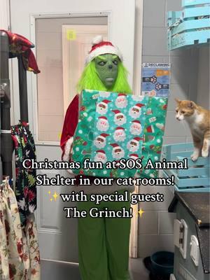 Happy Holidays from SOS!! 🐕🐾 #fyp #foryoupage #animalsoftiktok #animalshelter #sosanimalshelter #adoptdontshop #adoptme #adopt #donate #nonprofit #rescueanimals #rescueanimals #thegrinch #christmas #grinch #cats #catsoftiktok #rescuecat #sheltercat #cute #holiday 