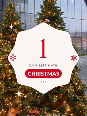 🎄 1 Day Until Christmas 🎄 Tomorrow is the big day! 🌟 But today, let’s take a moment to celebrate progress and perseverance. Wound care professionals, you’ve helped patients heal in countless ways this year, and that’s a gift that lasts beyond the season. 💝 What’s your biggest win this year? Let’s celebrate your impact! 🎉 #1daytillchristmas #holidaycountdown #woundcareimpact #nursesrock #patientcarejourney #woundhealingheroes #holidayseasonmagic #healthcareheroes #compassionincare #gratitudeinhealthcare #spreadinghope #holidaykindness #woundcaretips #holidayinspiration #caregiversrock #healinghands #woundmanagementtips #healthandsafety #christmasspirit2024 #holidaycompassion #medicalprofessionals #progressandhealing #holidaygratitude #spreadingjoy #HealingJourney