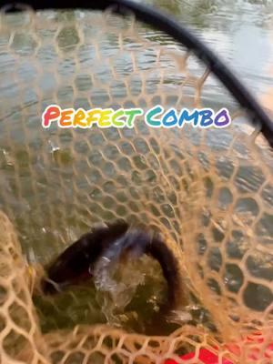 Perfect combo!  #kayakfishing #yakfishing #fishing #fishinglife #kayakinglife #troutfishing #rainbowtrout #sunsets  #chattahoochee #river #chattahoocheeriver   #shorts #shortsfeed #shortsvideo #short #shortvideo #shortfeed #redkayakguy 