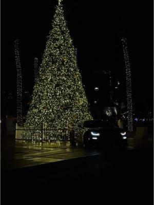 Supercharger under The 🎄would be awesome…. #camaro #merrychristmas #ss #v8hub #arizona #christmas #nightdrives #tiktok #fypviral 