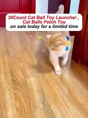 bang bang bang toys that can play with cats, don’t say you don’t like to play with them#tiktokshopcrossborder_seasales #tiktokshopsgsale #fyp #fys #goodthing #goodthingshare #cat