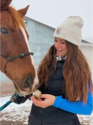 This mare can’t do anything without making a mess😂#fyp #viral #rodeo #western #minneosta #barrelhorse #foryou #cold #horsesoftiktok #horse 