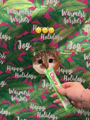 Pretty much sums up what its like to film content with them 🤣🎄❤️ #fyp #viral #sukipurrs #catsoftiktok #catmom #funnycats #catmemes #crazycatlady #catlover #cattok #britishshorthair #derpycats #sadcat #cutecats #wrappingpaperphotoshoot #christmas 