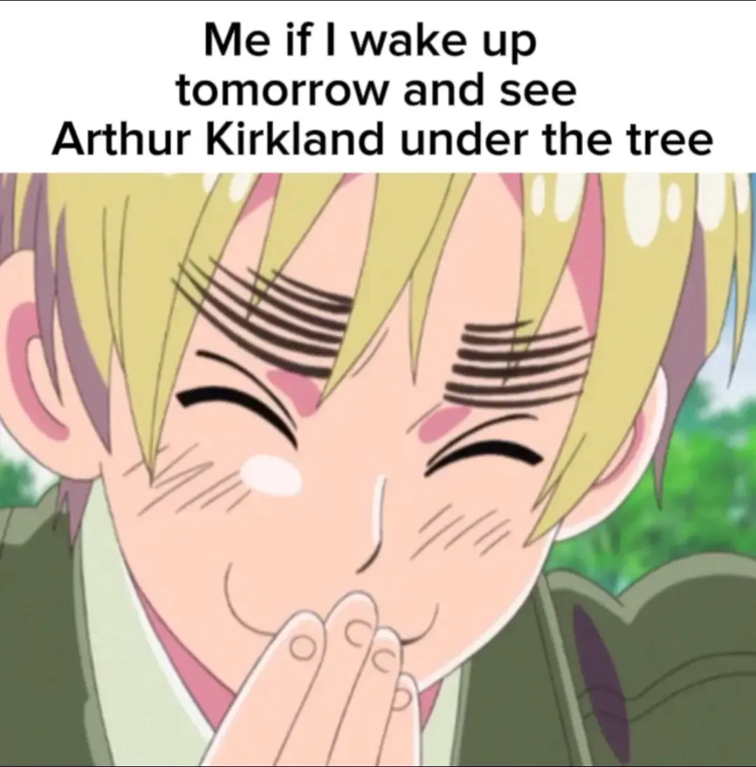 Arghruryyydy #arthurkirkland #arthurkirklandhetalia #hetalia #APH #gyat #christmas #englandhetalia #hetaliaengland #meow #shtpost 