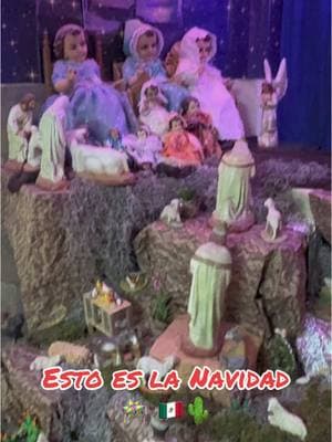 #la #verdadera #navidad #nacimiento #hermosa #tradicion #posadas #acostada #niñodios #sanluispotosi 