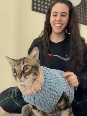 Crochet all day! 🐱 #catsoftiktok #cat #sweaters #christmassweater #itfits #collab 🎥: Salma Al-hindi