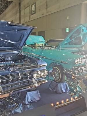 59 rag Japanese Lowrider #lowridermagazine #motorsportshowcase #lowrider #japan #japanese #japaneselowrider #impala #1959 @motorsportshowcase @Society Car Club Mesa Arizona @LowriderLos @luis lopez 