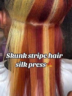 Skunk stripe hair silk press🍁 #skunkstripe #hairdye #silkpress #hairtutorial #fallhair 