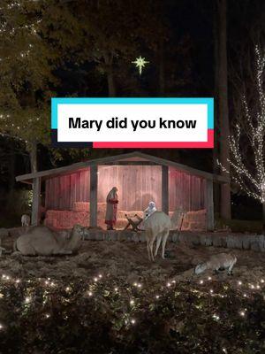 My favorite Christmas Song🤍 #marydidyouknow #jesusisborn 