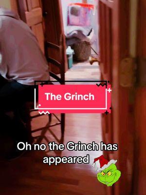 This is quite possibly the best Grinch scare ever!!! Never laughed so hard in my life🤣🤣 #grinch #grinchprank #christmas #present #fyp 