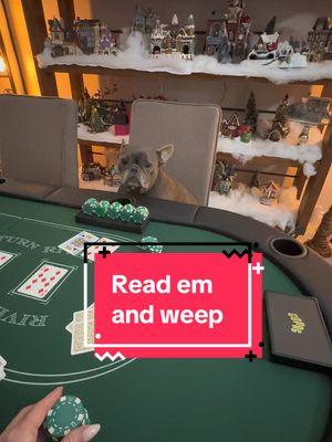 But can your frenchie play poker? #poker #frenchie #christmaseve #familynight #GameNight #pokernight #funnyfrenchie #frenchietok #christmasvillage #dogtok #lifeoftheparty #pokerface 