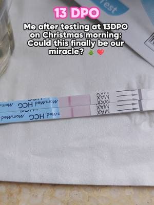 13DPO Don't break me heart 🙏❤️Praying 🎁  ✨#ttc #ttcjourney #pregnancyjourney #pregnant #Christmasbaby #13DPO #tww #infertilityjourney #Positive #pregnancytest