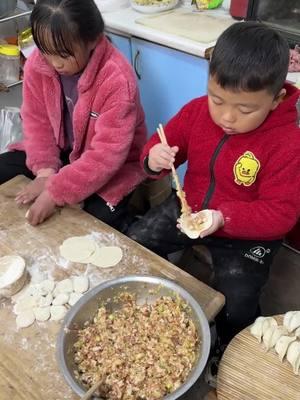 We Shandong people love to eat dumplings, and these two products make dumplings when we have nothing to do#Freerangechildren 