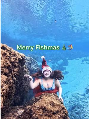 Merry Fishmas and Happy Holidays! 🐟🎄 Wishing all my family, friends, and amazing supporters a holiday season filled with love, laughter, and a splash of magic! 🌊💙  Your support means the world to me, and I’m so grateful for every one of you who makes my journey as a mermaid so special.🧜‍♀️ Here’s to a fin-tastic Christmas and a magical new year ahead! 🎅🏻✨  Sending all the festive vibes from under the springs! Shot with my @insta360_official  Wearing my swimsuit & tail from @Cape Cali  Song by @Lindsey Stirling  #MerryFishmas #UnderwaterChristmas #HolidayMagic #christmastday #itschristmastime #christmasunderwater #mermaidchristmas #insta360 #insta360acepro #insta360mermaid