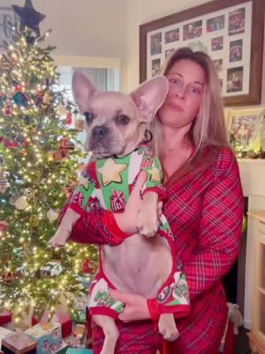 #harryithinkitschristmaseve #christmaseve #frenchiesoftiktok #christmasjammies 