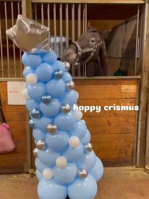 May your barns be warm & your hooves be light ✨🎄 . 🥰🎥 @tiaraequine  . . . . . . . #merrycrisis #funnyhorsevideos #funnyhorses #cuteanimals #knabstrupper #equestrianlife #equestrian #knabstruppersofinstagram #horses #spottyhorse #horsehumor #christmashorse