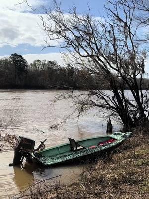 We need a push of ducks asap! . . . . . . . . . . . . . . . . . . . #10mphclub #boat #evinrude #woodboat #edge #havoc #duckboat #outboard #johnboat #river #boatlife #boating #tiller #tiller handle #tillerhandleoutlaws #15hp #99 #wedge #customboat #fastboat #raceboat #speedboat #yamaha #yammie #yamaha25 #30mphclub #fastcraft #fastcraftboats #falconboats #falcon #bugbuster #bugbusterboats #hightide #hightideboats #yamaha3cyl #3cyloutlaws #3cyl #yamaharacing #toyota #17s #40s #glads #gladiators  #superswampers #4runner #4runna #squat #bubbatruck🌾 #tsl #boggers #squattedtrucks #dbsound #stuntwall #stero #caraudio #weld #bog #mudtruck #22s #1stgen #80s #hardtop #fyp #fypシ #arnold #apocalypse #deafbonce #flawlesswhipz #4dz #leanin #fts #LLB #LLK #jbo #jbocalls #duckcalls #duckhunting 