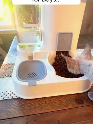 10/10 for Small Pets. Food and Water Lasts for Days!! #Dogs #Cats #petfooddispenser #Fooddispenser #waterdispenser