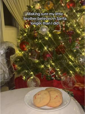 Merrrrrryyy Christmassssssss #santa #santaisreal #christmascookies #relatable #littlebrother #believeinsanta 