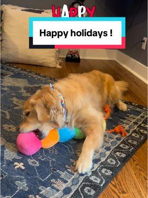 Happy holidays yall! Hopefully everyone is having an amazing day 🎄🥰🎄 #selfemployed #petbakery #dogbakery #dogtreats #doglover #dogtoys #petstore #woof #bark 