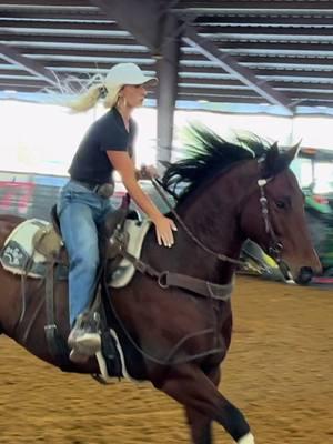 Excided to be back in Texas missed my guy❤️ #rex #texas #horsesontiktok #bayhorsesoftiktok #emory #tx #barrelhorsesoftiktok #sundanceperformancehorses #fypシ #bayhorsesoftiktok #barrelracing #torinosrex 