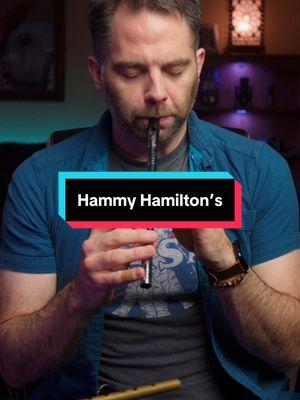 Merry Christmas - here’s a Hammy Hamilton tune #tinwhistle #pennywhistle #whistletok #lirwhistle #irishmusic #irishtrad