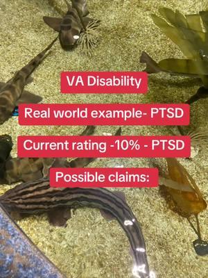 #vadisability #combatvets #vietnamvet #veteranaffairs #veteran #usafcombatvet #armylife #navylife #marinelife #vetforlife #ptsd #combatvet #disabledvets #veteranassistance #disabledvet #disabledveteran #vetlife #army #navy #airforce #marines #coastguard #usmilitary #veteransbenefitsevaluations #foryoupage #fyp #viral #trending #miltok #VA #varating #vet #veterans #veteranlife #veteransoftiktok #veteransofamerica #vadisabilityhelp #vadisabilityrating #vadisabilityclaims