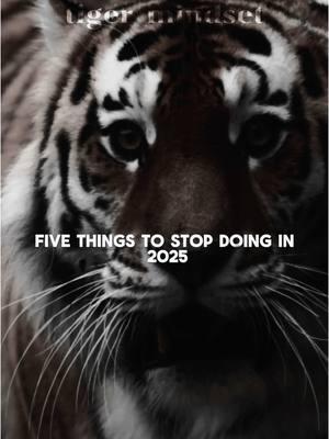 5 things to stop doing in 2025 #motivationalquotes #motivationalspeech #quotesformotivation #quotesforyou #listentothis #tigermindset #motivationtiger #successmindset #successfulness 