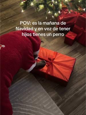 Como mueve su cola, es muy feliz 🥹 #navidad #christmas #gift #regalos #sorpresa #perros #dogmom #dogs #perritos ##CapCut 