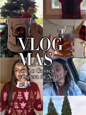 DIA 24 - último vlogmas 🎥🎄 Que você e sua família tenham um Natal abençoado ❤️ #Vlogmas #vlogdenatal #vidadeimigrante #lariflix #aupaireua #fyyyyyyp 