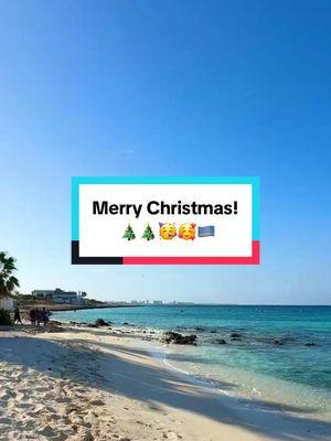 Merry Christmas and Happy Holidays!!  I feel so blessed to be able to spend so much time in Aruba and to share it with all of you!  I truly hope I help make your vacations better to Aruba and help you explore and enjoy this beautiful island!  Thank you for being here! 🥳🥰🇦🇼🎄 #aruba #arubavacationtips #onehappyisland #merrychristmas 