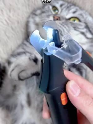 Mute your cat's nails#cats #TikTokShop #cat #fyp #nailgrinder #cat #petnail 