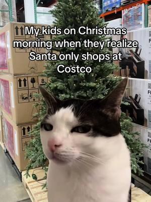 Don’t be suspicious…. Anyone else buy all of their gifts at Costco? #costco #costcofinds #costco_empties #memes #funnymemes #fyp #foryou #foryoupage 