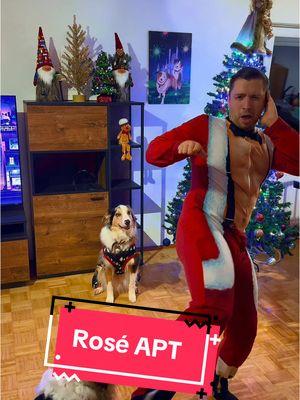 Chippendale got nothin’ on Santa after delivering all those gifts 🤷‍♂️ #santa #christmas #roseapt #dancechallenge #dancetok #viral #theaussiefam #hadesjaznateadventures 