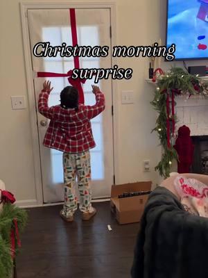 Merry Christmas! The babies were so happy to see their surprise gift. #surprise #christmassurprise #christmasmorning